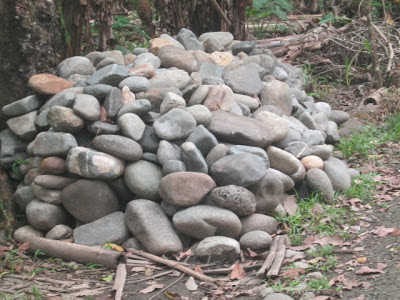 jpg